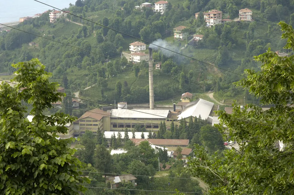 Vadi tabanındaki çay fabrikası ve çevresindeki yerleşim